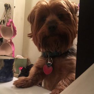 Meet your Posher, Kathy